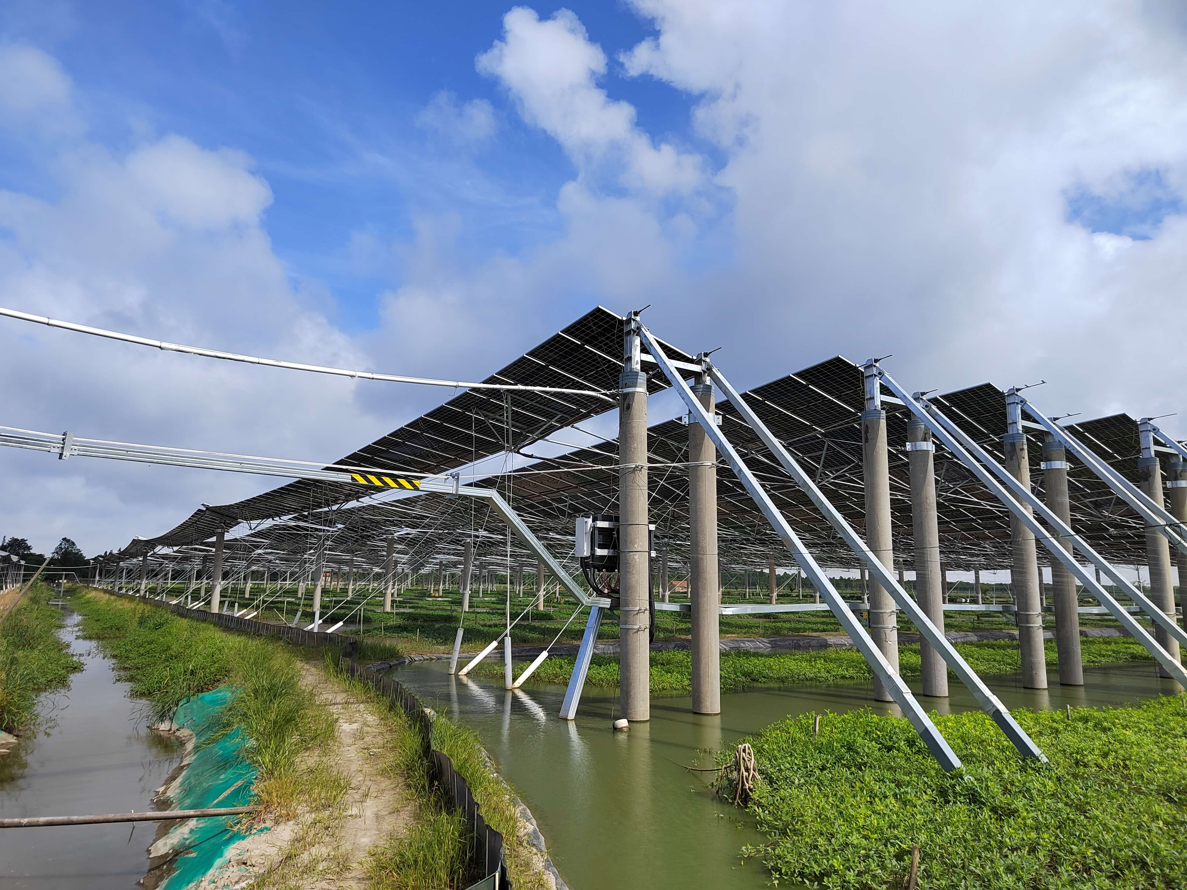 Chongming Island Fishery-solar Hybrid Project